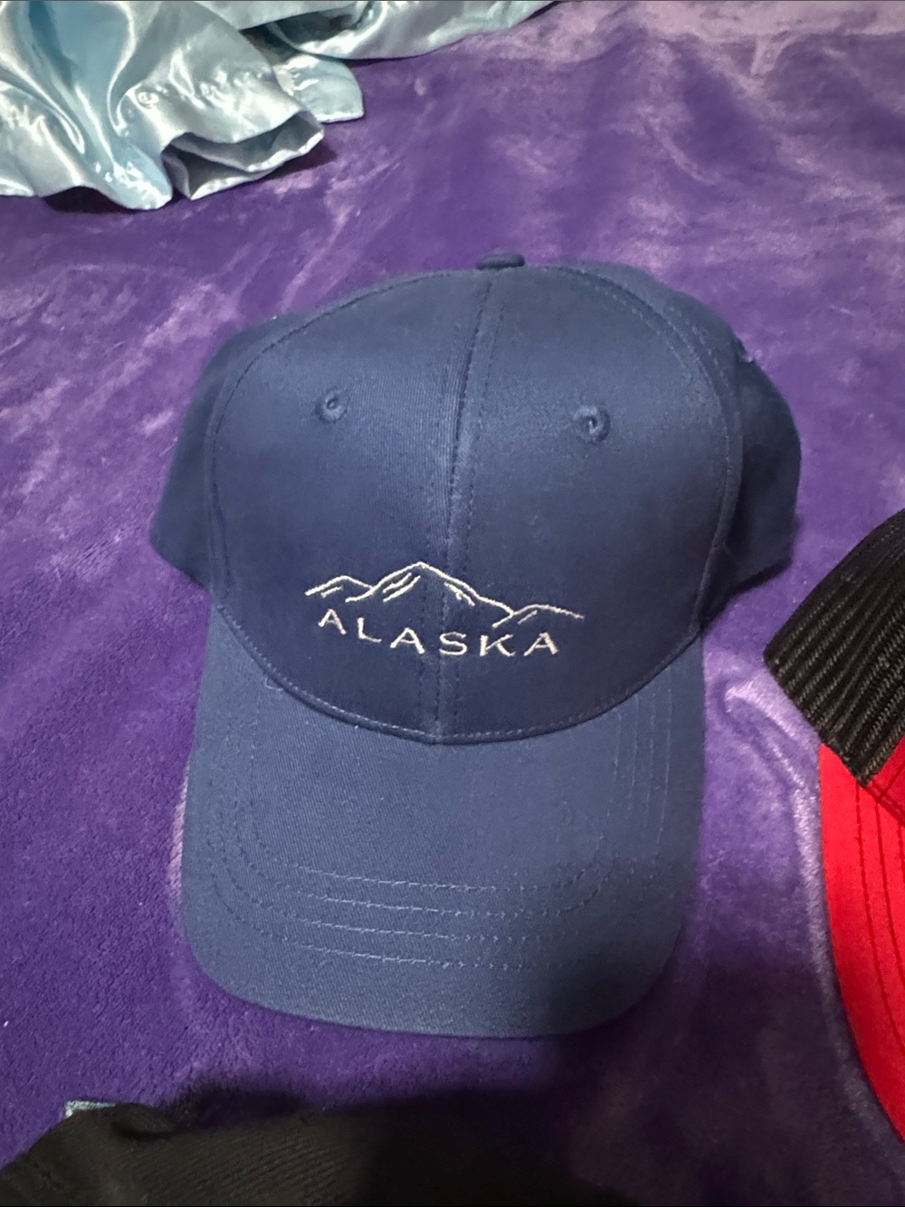 Assorted Men's Baseball Caps - Multi-Color Pack - Picture 8 of 9